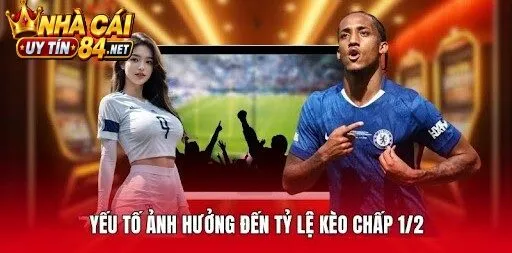Yếu tố ảnh hưởng đến tỷ lệ Kèo Chấp 1/2